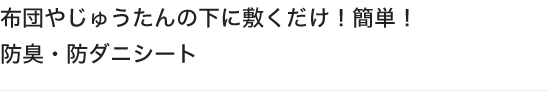 布団やじゅうたんの下に敷くだけ！簡単！防臭・防ダニシート